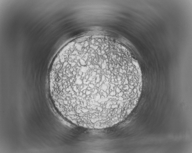 X0000066500852200604141720