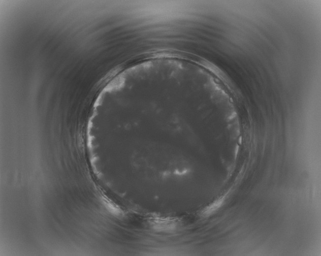 X0000066500857200604141720