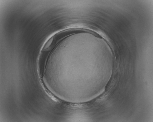 X0000066500862200604141720