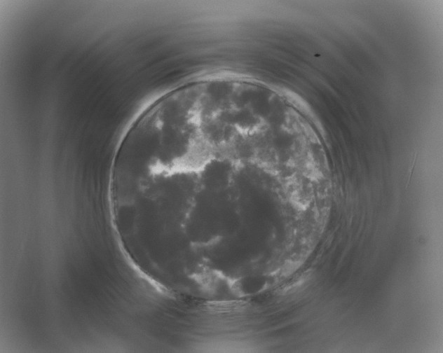 X0000066500863200604141721