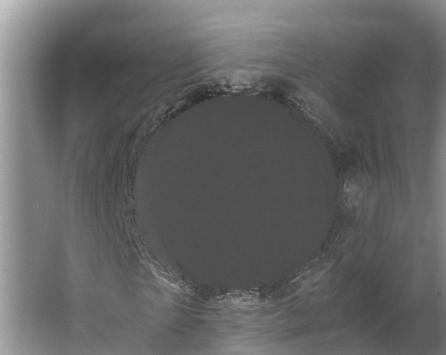 X0000066500865200604141720