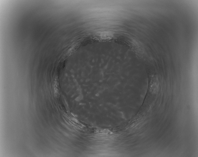 X0000066500866200604141720