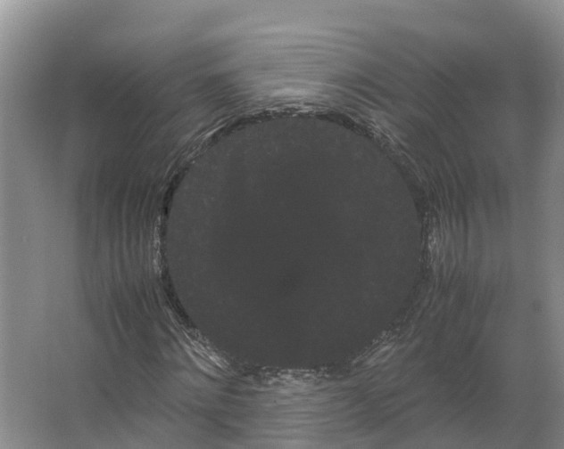 X0000066500868200604141720