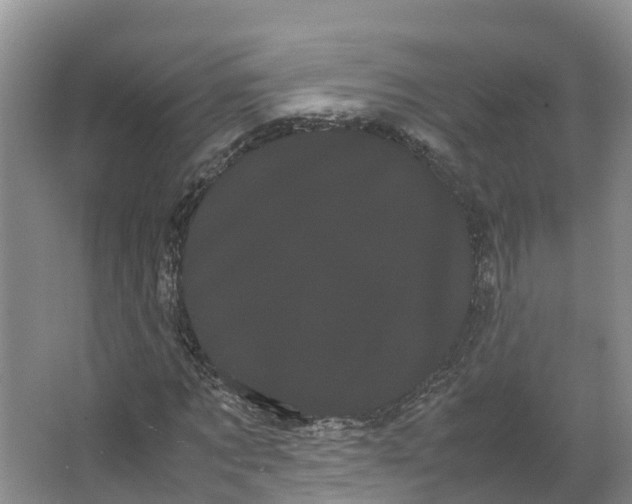 X0000066500869200604141720