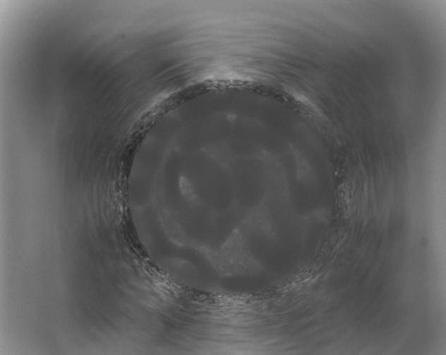 X0000066500870200604141720