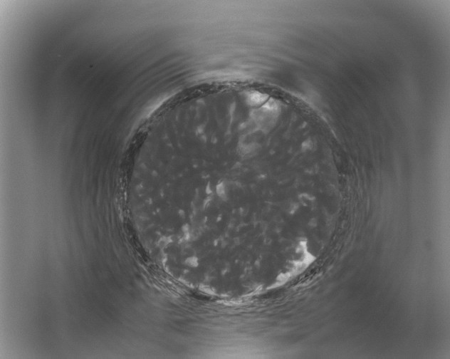 X0000066500871200604141720
