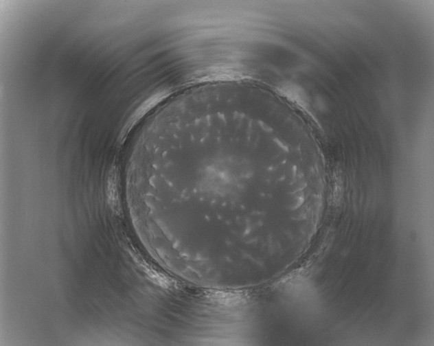 X0000066500874200604141720
