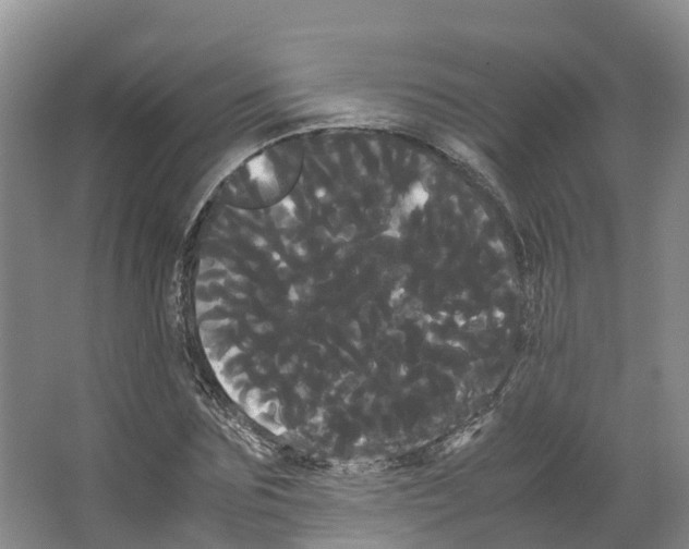 X0000066500875200604141720