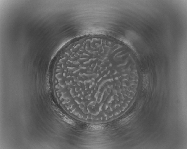 X0000066500878200604141720