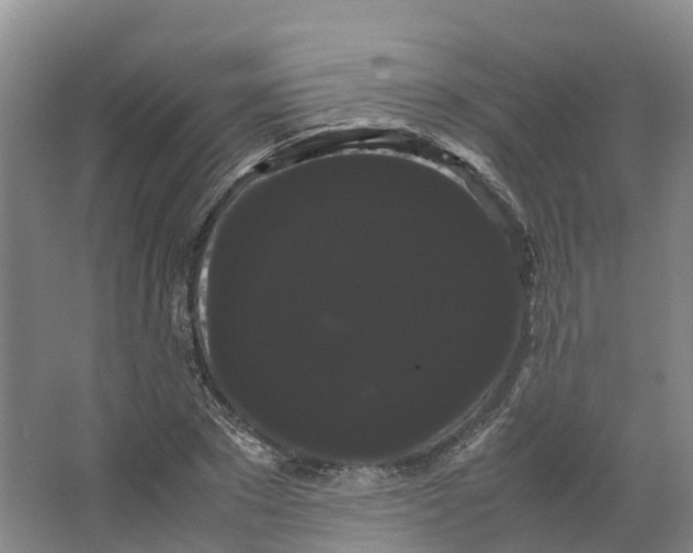 X0000066500881200604141719