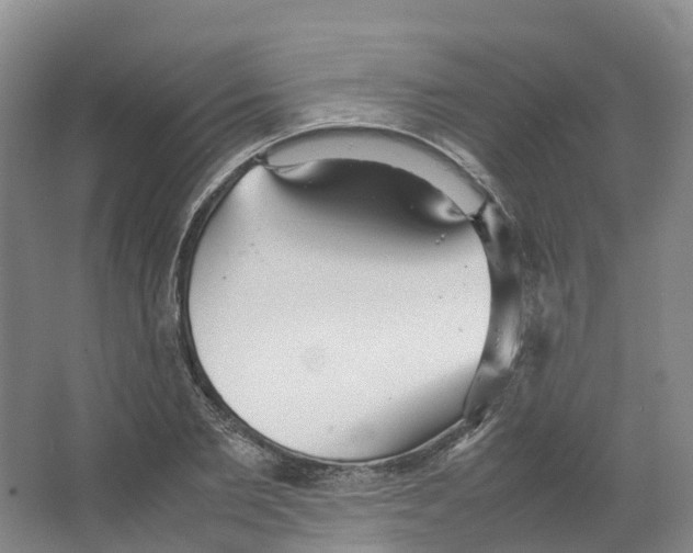 X0000066500885200604141719
