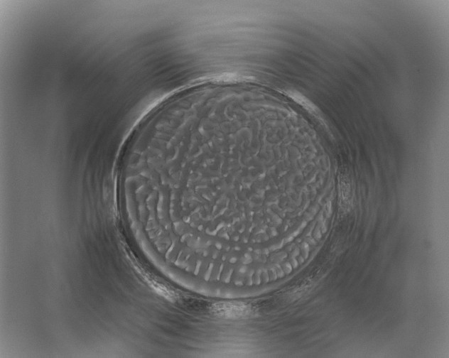 X0000066500886200604141719