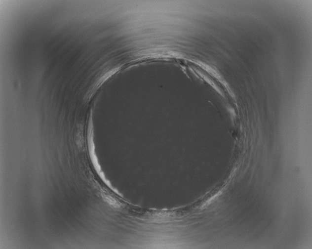 X0000066500889200604141719