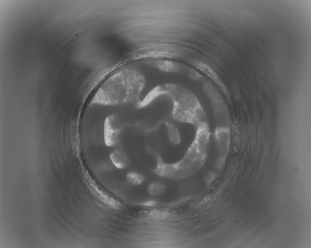 X0000066500890200604141719