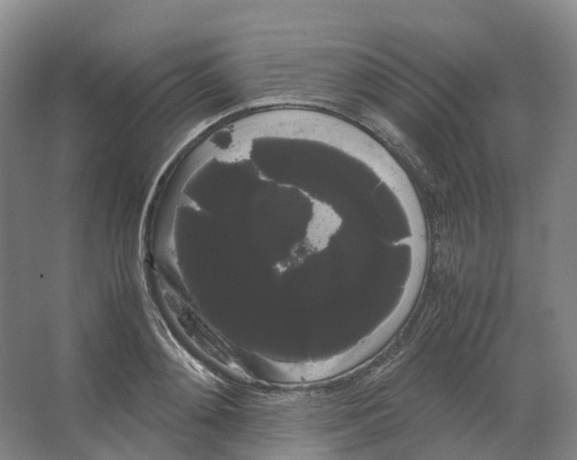 X0000066500892200604141719