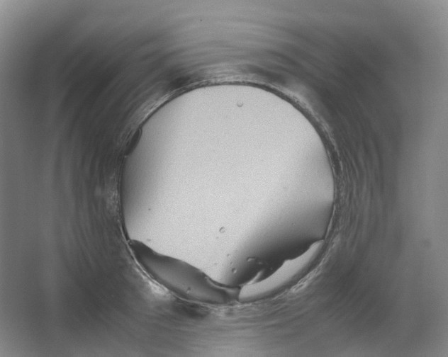 X0000066500897200604141719
