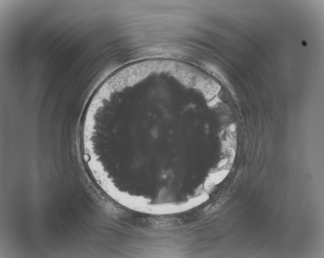 X0000066500899200604141719