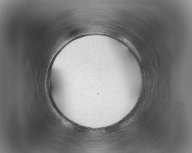 X0000066500901200604141719