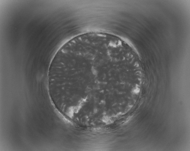 X0000066500903200604141719