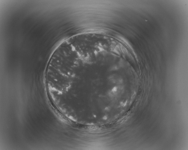 X0000066500907200604141719