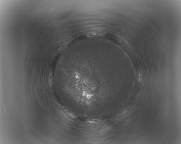 X0000066500915200604141718