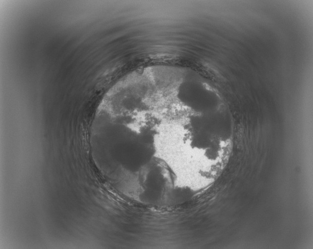 X0000066500917200604141718