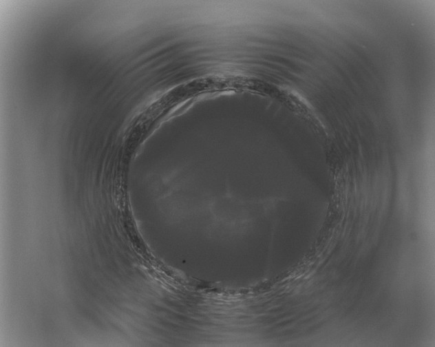 X0000066500919200604141718
