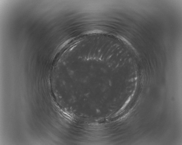 X0000066500921200604141718