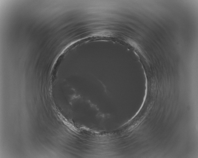 X0000066500923200604141718