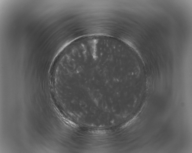 X0000066500925200604141718
