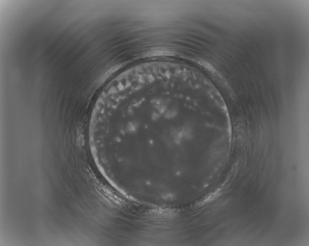 X0000066500929200604141718