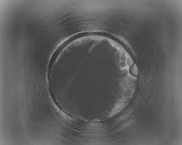 X0000066500935200604141718
