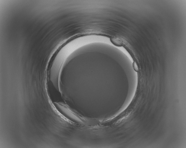 X0000066500941200604141719