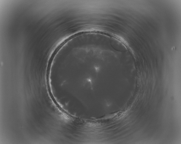 X0000066500943200604141719
