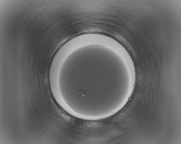 X0000066500945200604141719