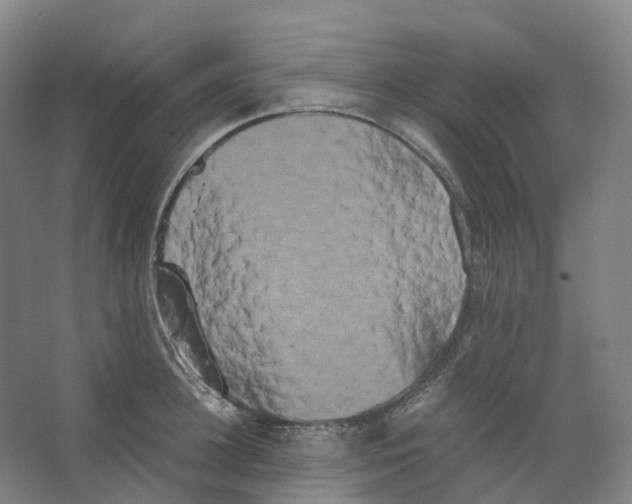 X0000066500948200604141719
