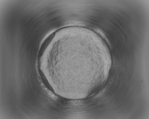 X0000066500952200604141719