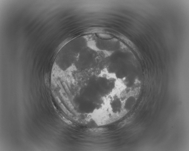 X0000066500953200604141719