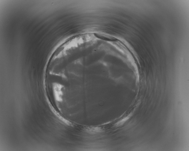 X0000066500957200604141719