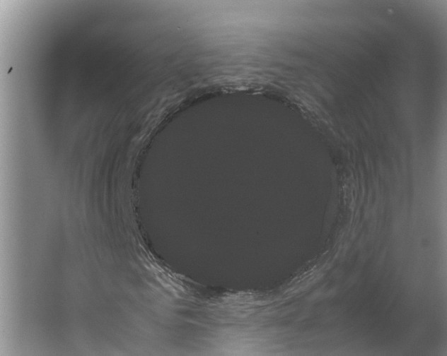 X0000066500961200604141718