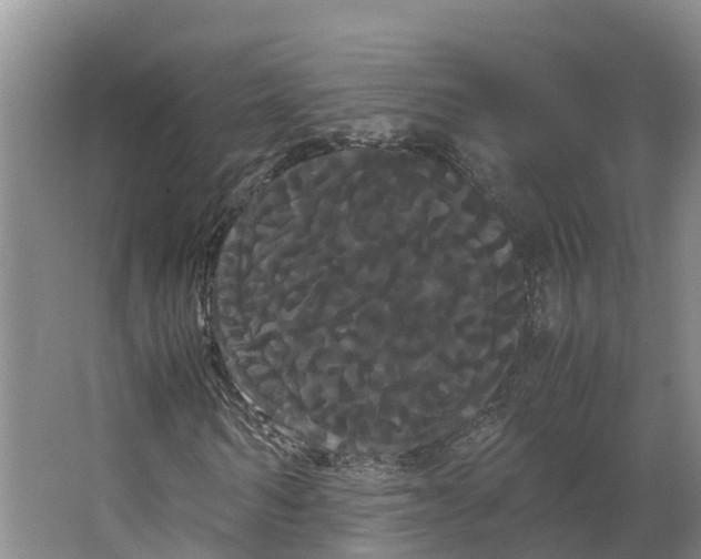 X0000066500962200604141718