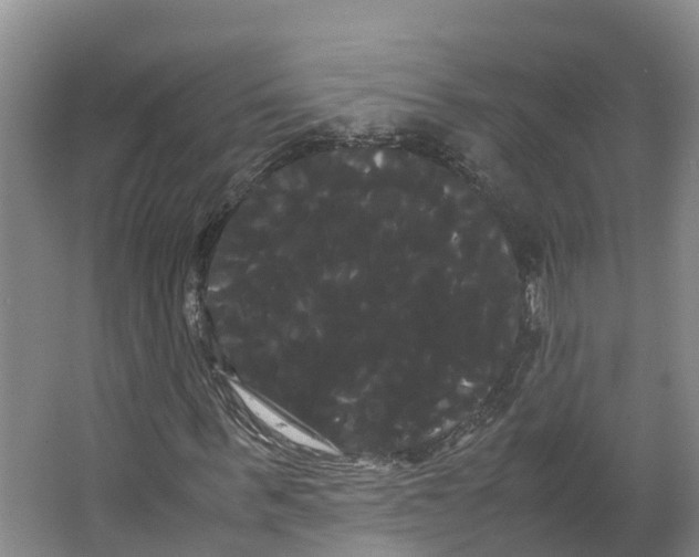 X0000066500963200604141718