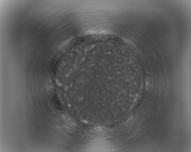 X0000066500966200604141718