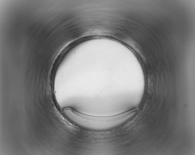 X0000066500972200604141718
