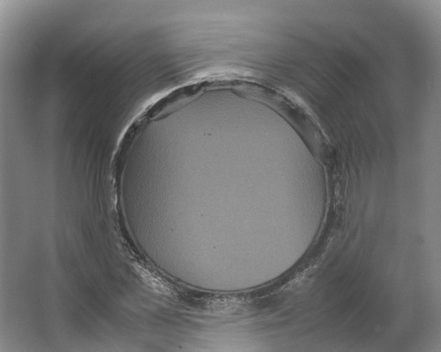 X0000066500973200604141718