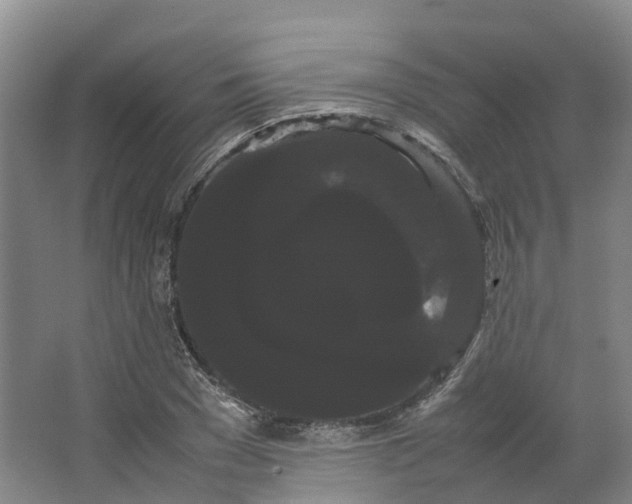 X0000066500977200604141718