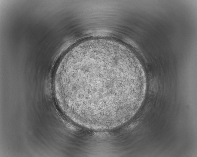 X0000066500978200604141718