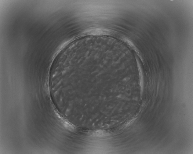 X0000066500986200604141718