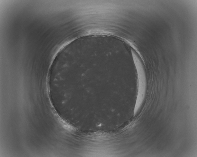 X0000066500987200604141718