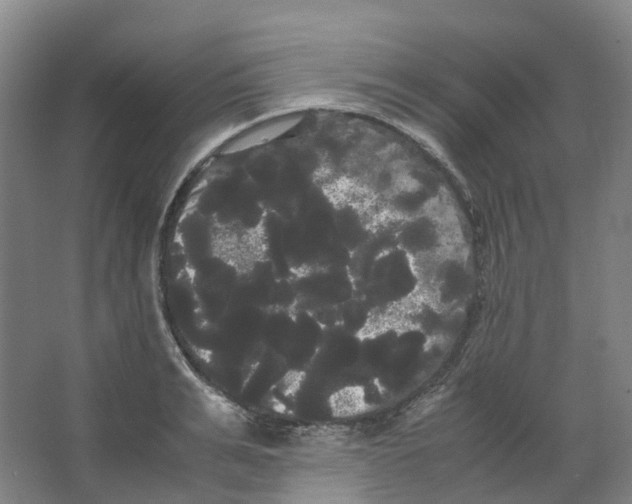 X0000066500991200604141718